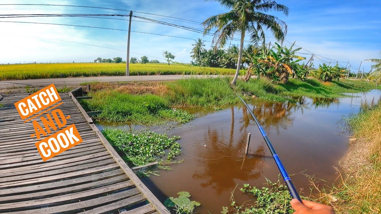 1Tempat Je!!Catch and Cook!!