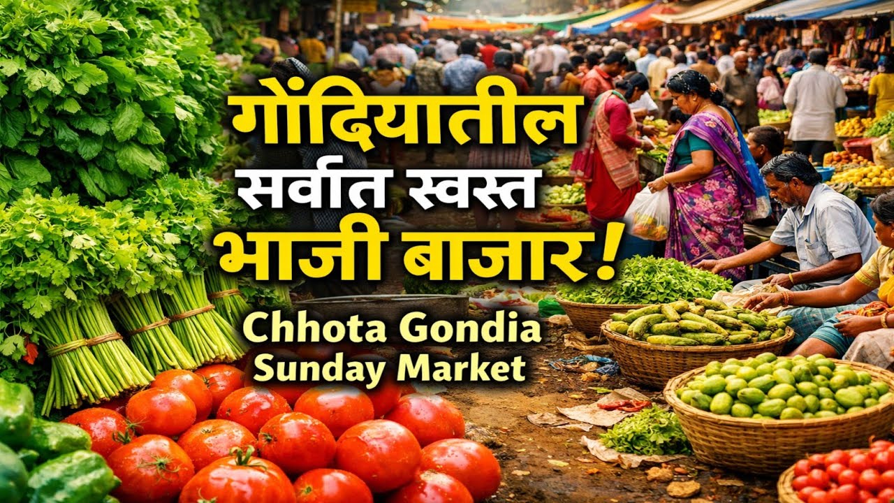 रविवारचा खास बाजार - छोटा गोंदिया सब्जी मार्केट | Fresh Vegetables in Gondia City #ricecity #gondia