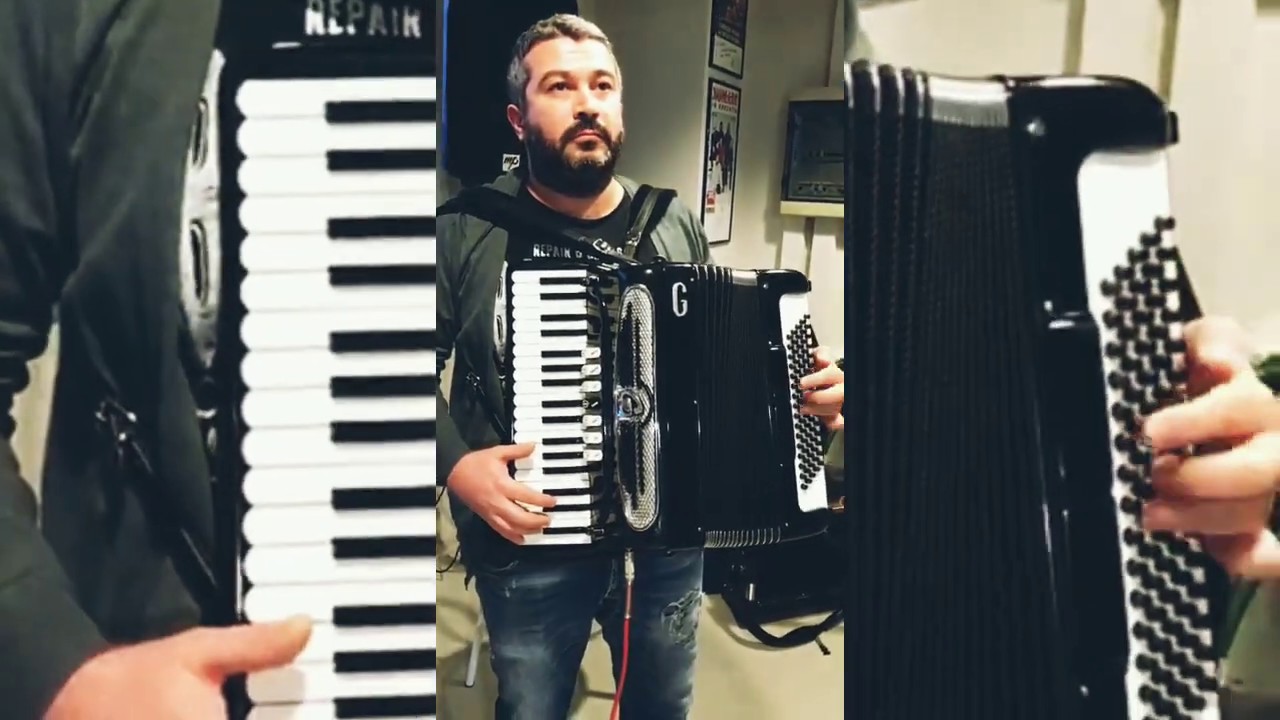 Harmonik Microphones AC5001 Plus - made in Brazil - Beltrami Accordions_Stradella_Italia