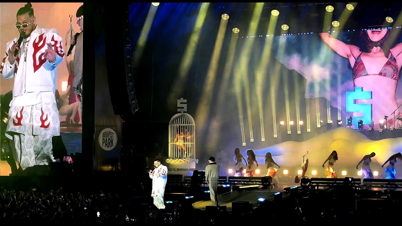 DESH x YOUNG FLY - Bakpakk | Live at Budapest Park | 2025