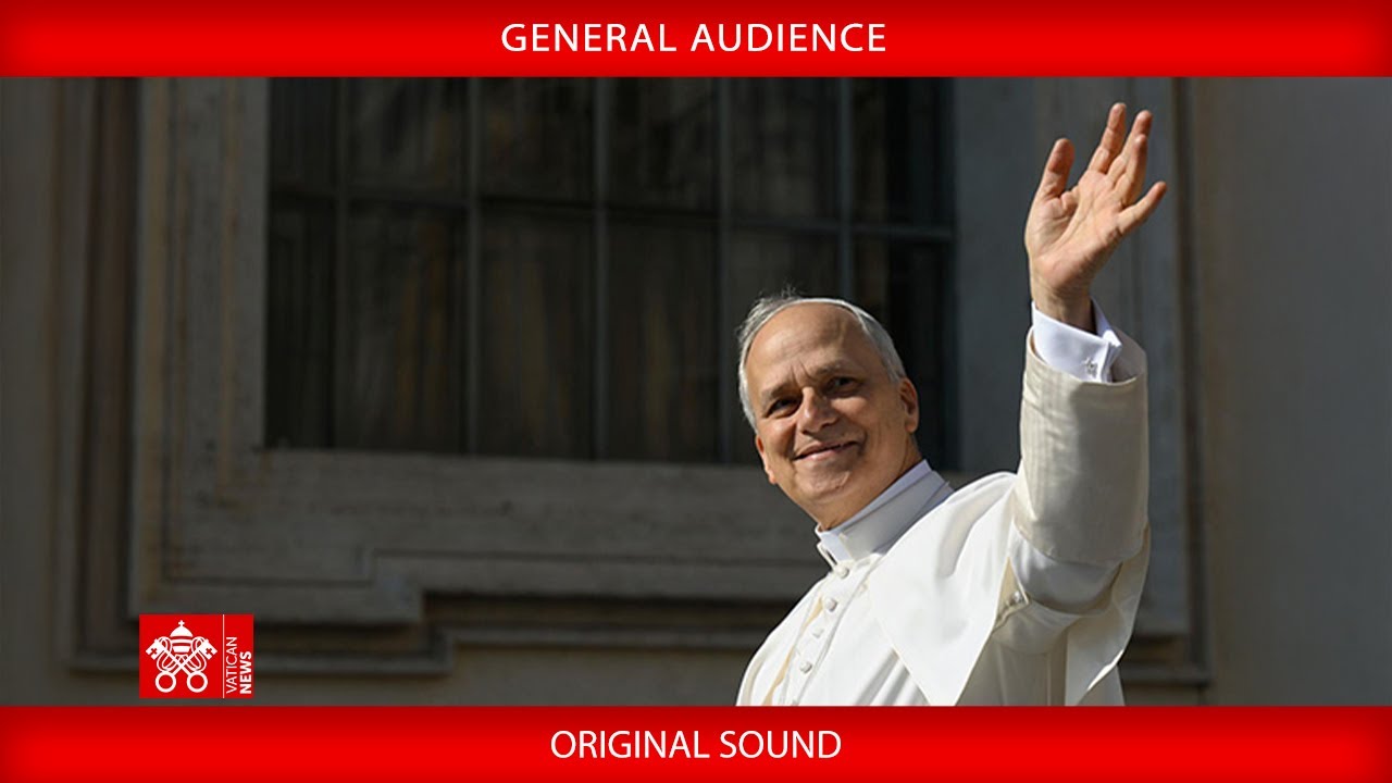 June 25 2025 General Audience - Pope Leo XIV