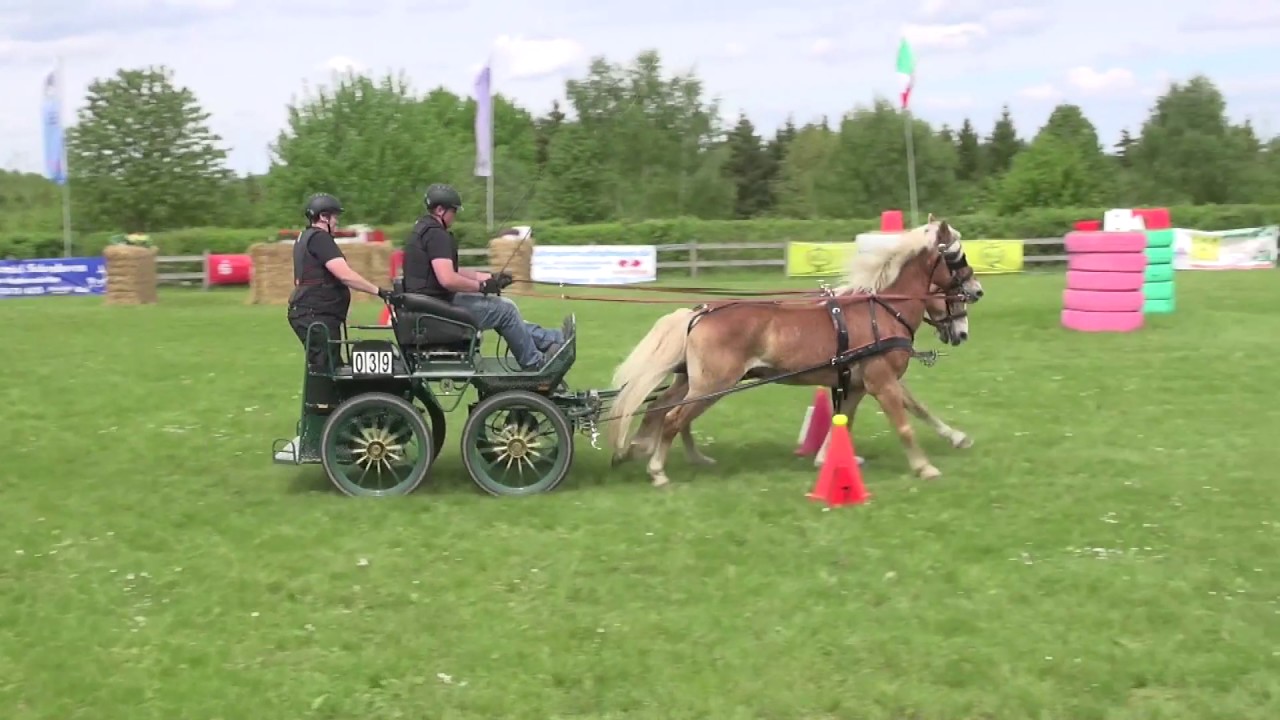 Fahrturnier Eicherscheid 2017, Kai und sein Haflingergespann im kombinierten Hindernis