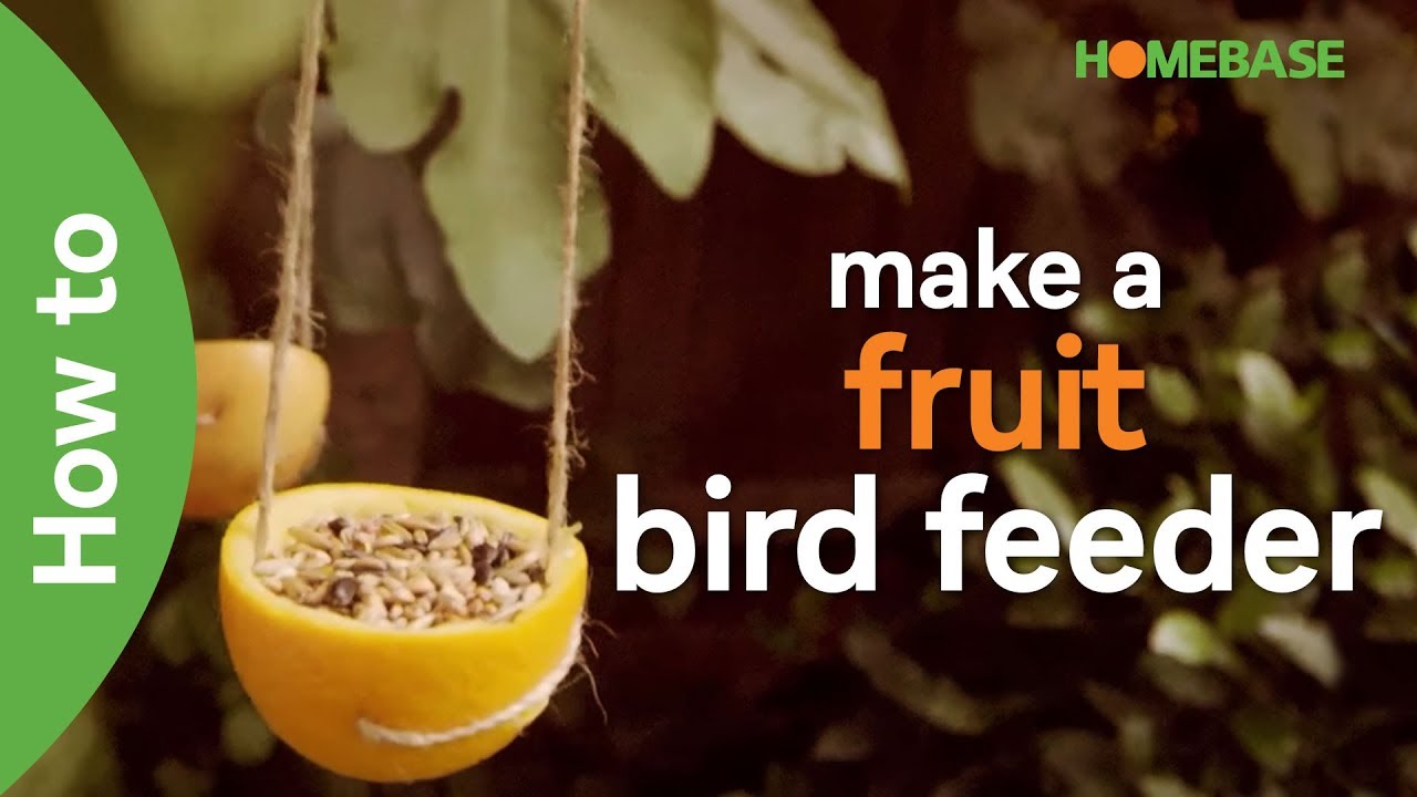 How to make a fruit bird feeder | kids gardening ideas| Homebase