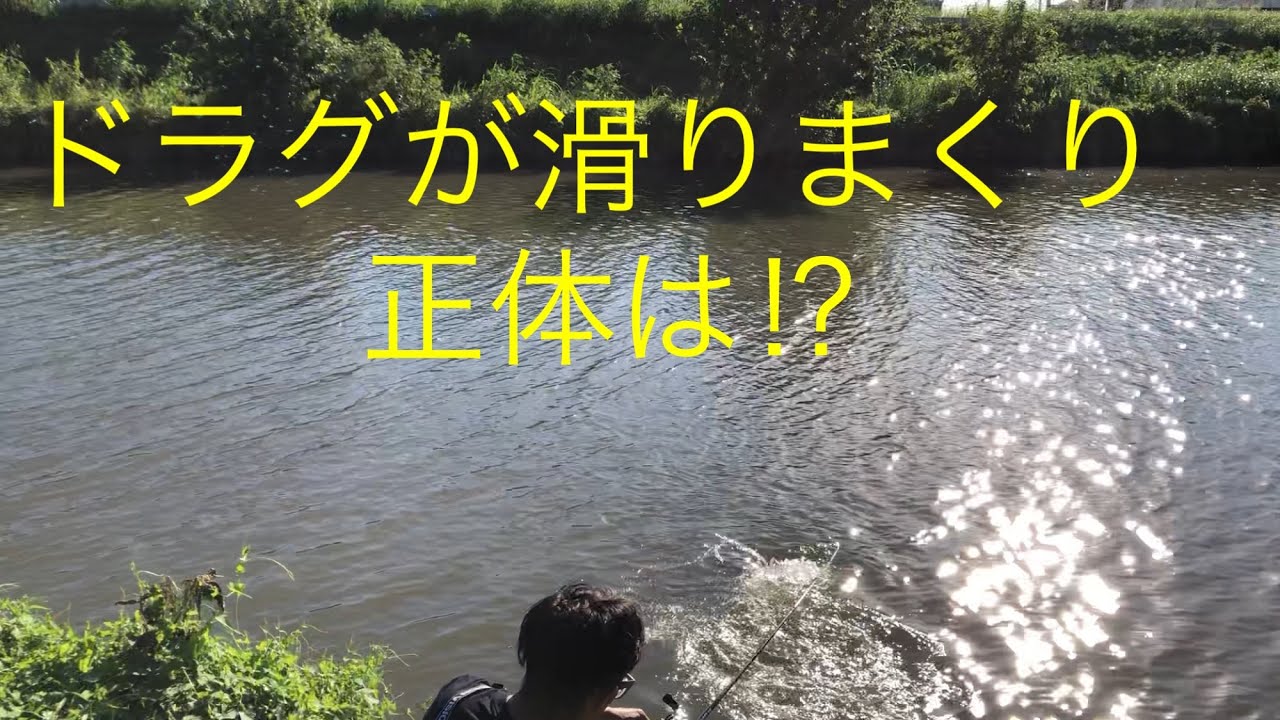 埼玉バス釣りポイント　越谷市　【新方川】