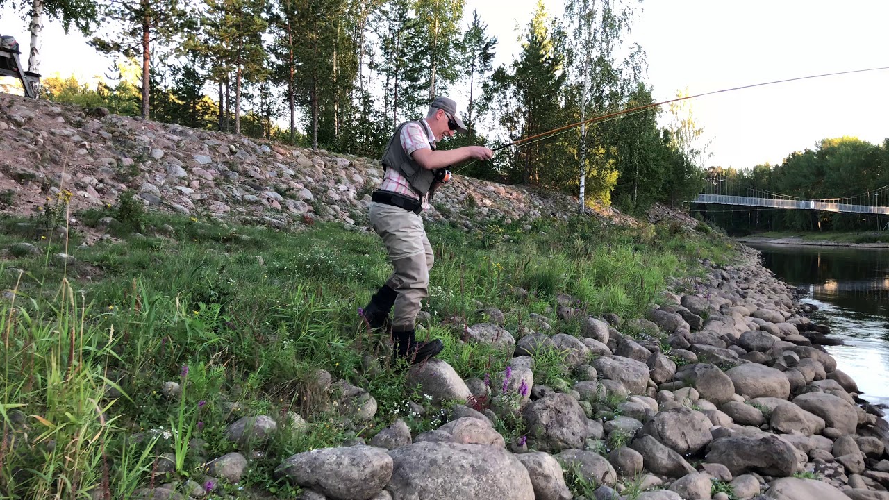 Havsöring, Älvkarleby, LTS Explosive Light 6/7 Älvkarleby 2018.