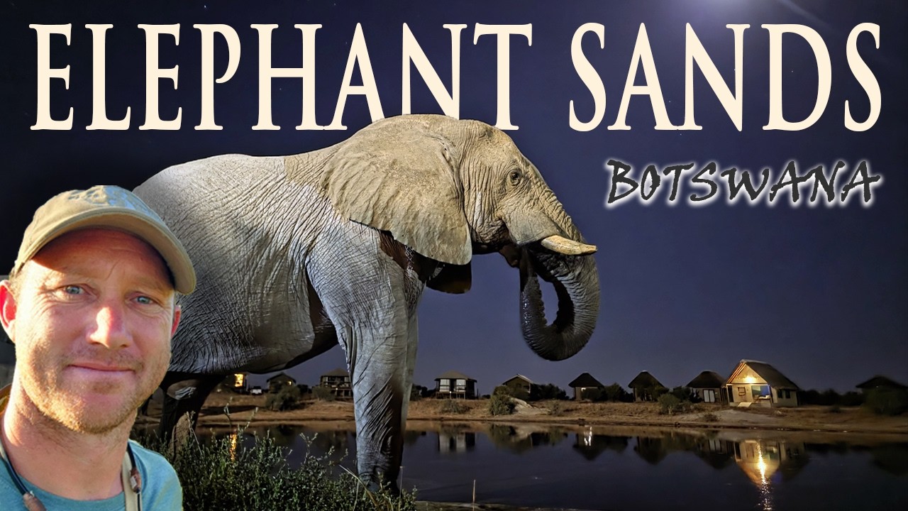 Elephant Sands Botswana! Ep5/5 5000km overland trip