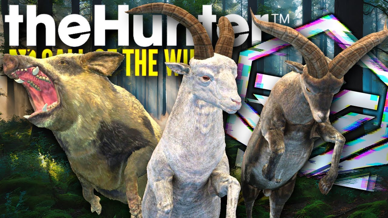 Finding DIAMONDS & RARES Hunting for a Mela Ronda Ibex.. AND THEN IT HAPPENED?! | Call of the Wild