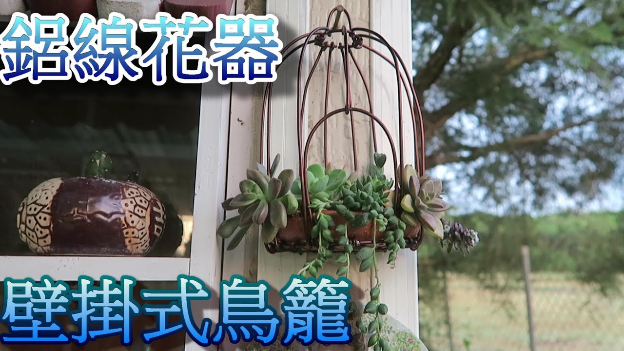 鋁線花器DIY-壁掛式鳥籠-種多肉植物通風又透氣