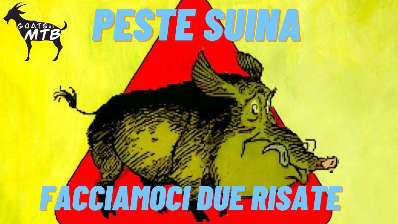 MTB Varazze - Peste Suina (ridiamo per non piangere)
