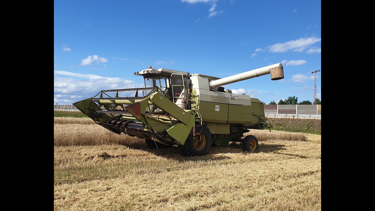 MDW Fortschritt E-524 Búza Aratás 2020