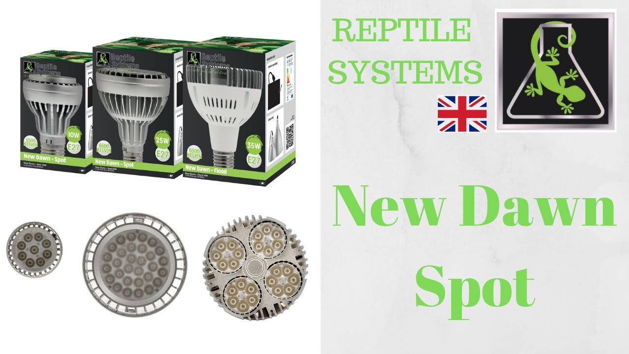 Reptile Systems New Dawn Spot