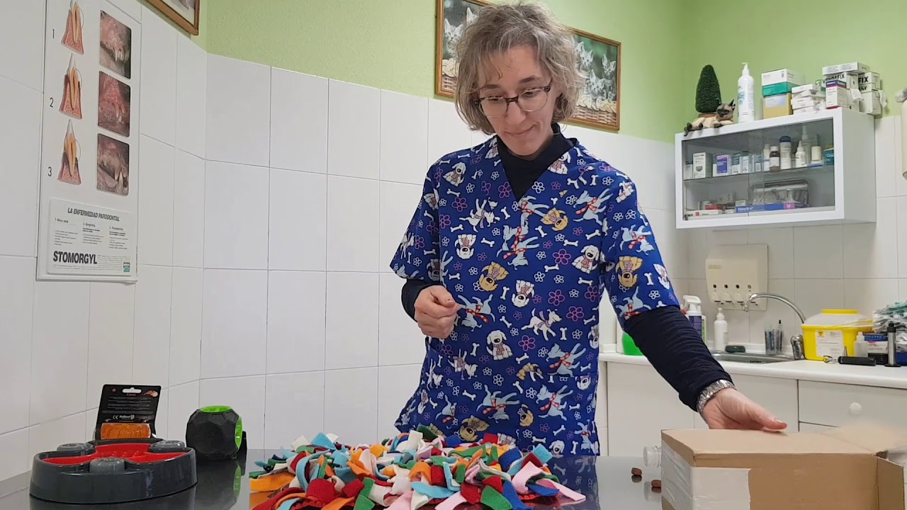 Juegos de olfato para tu perro