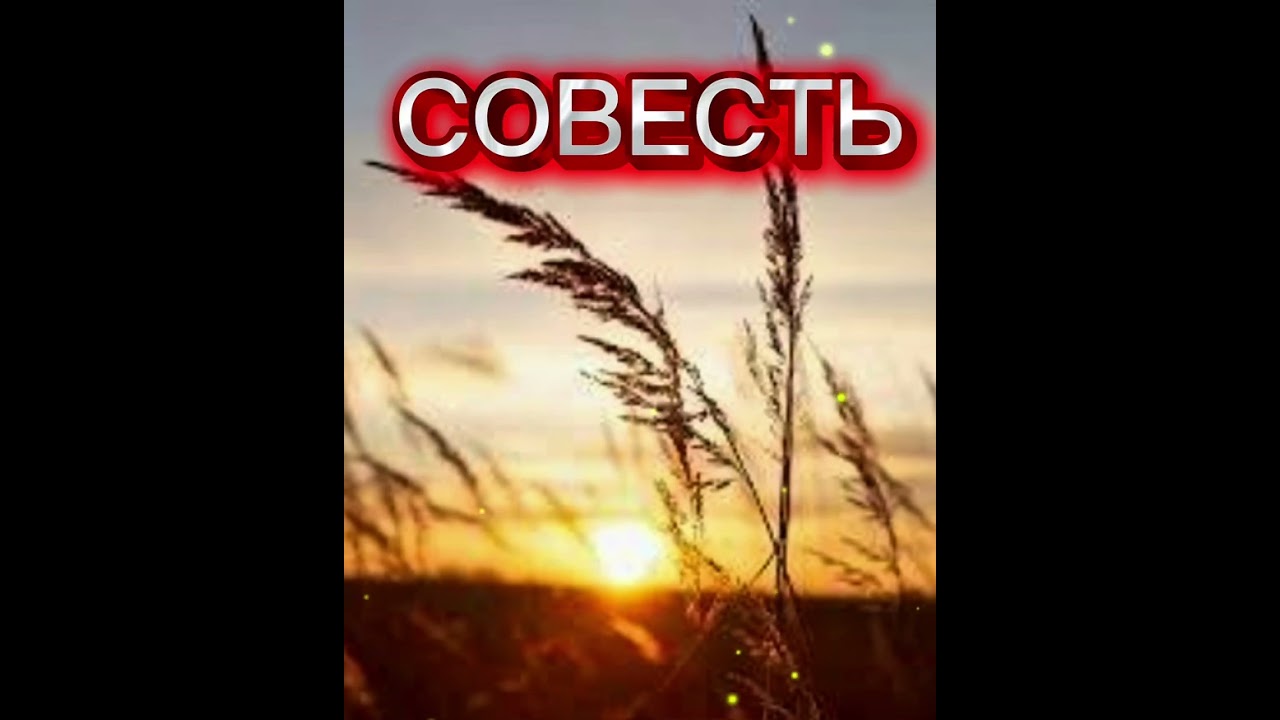 Совесть