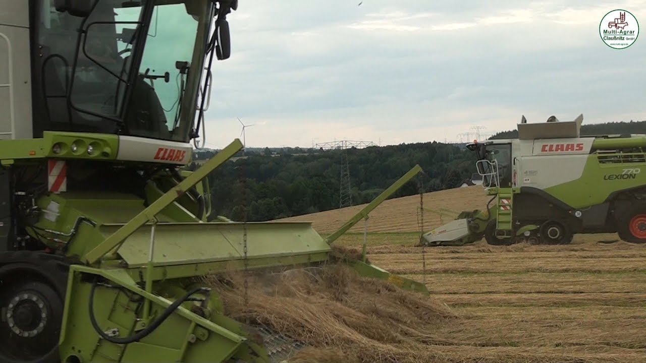 Grassamen Ernte vom Mähen bis zur Lagerung - Multi Agrar Claußnitz GmbH, Claas, JCB, Big Farming