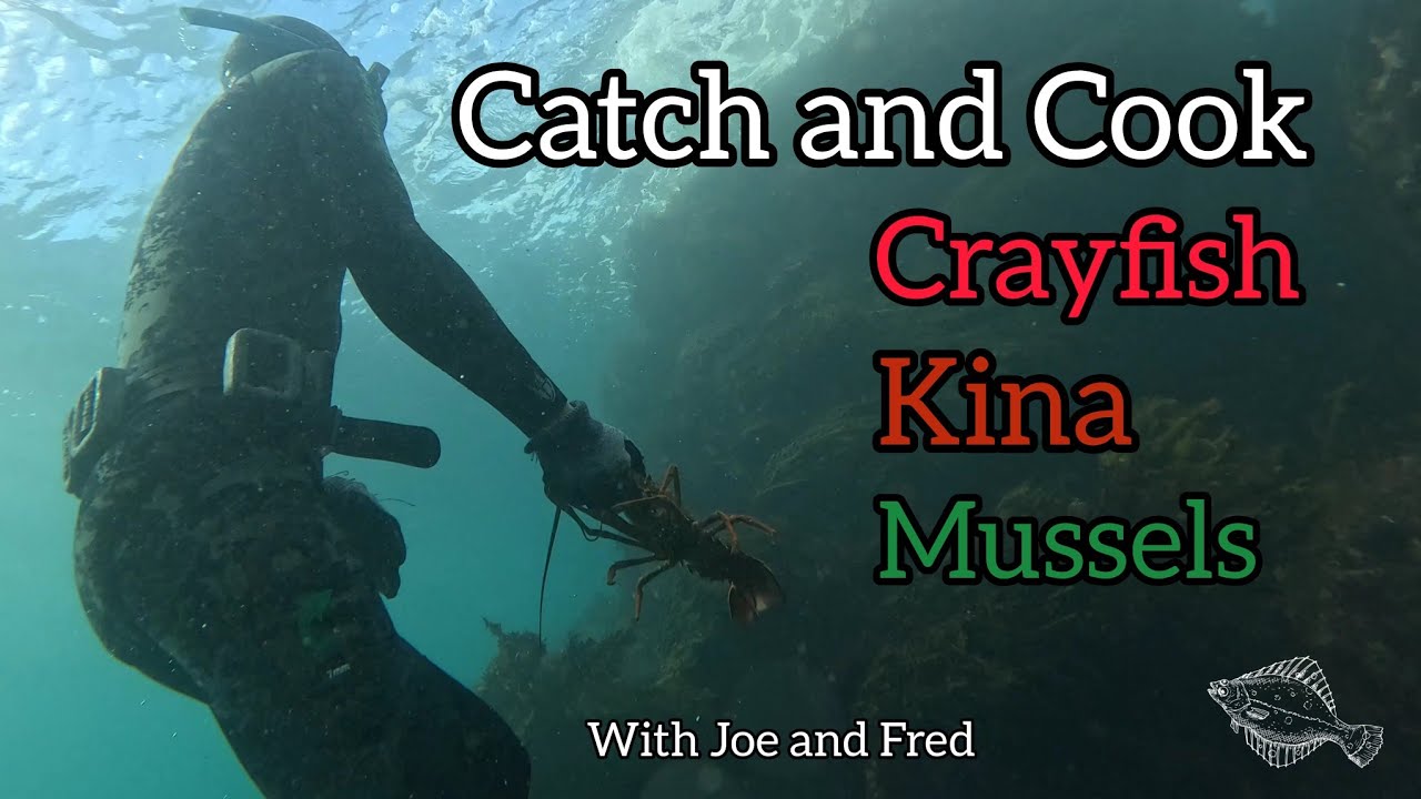 Catch and Cook Crayfish, Kina and Mussels