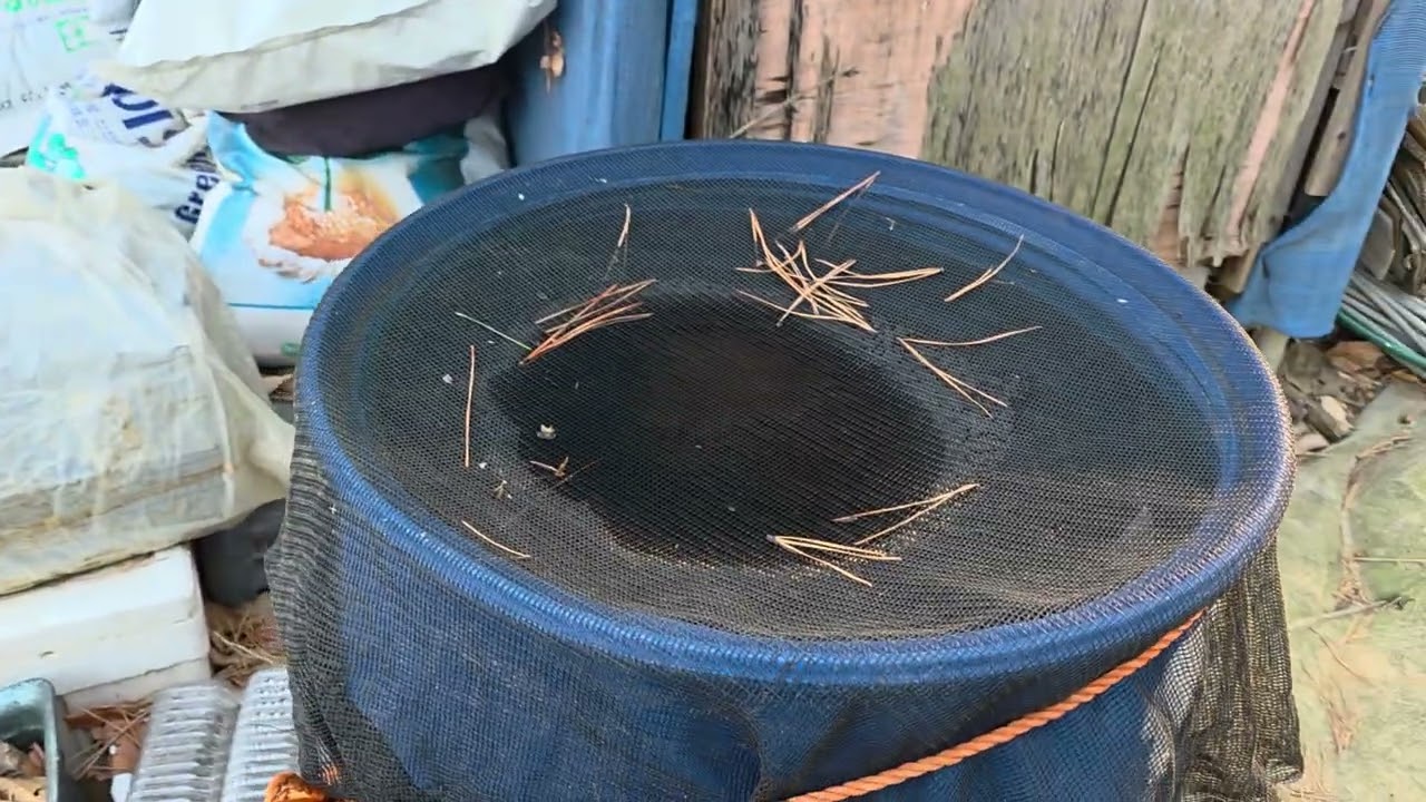  500평 농사 물없이 농사짓는방법.빗물 사용방법.화장실 쉽게 만드는방법