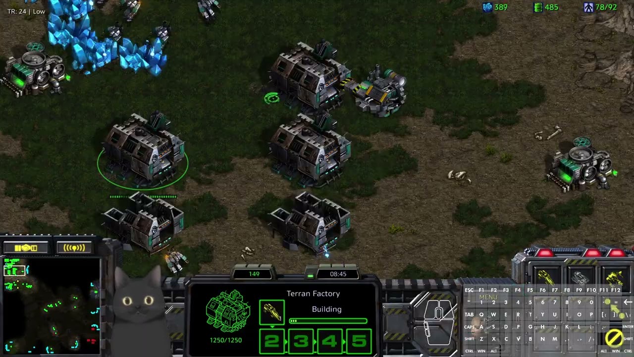 Starcraft: Broodwar Coach Pupil League Season 12 | Preseason Week 2 vs TNT!