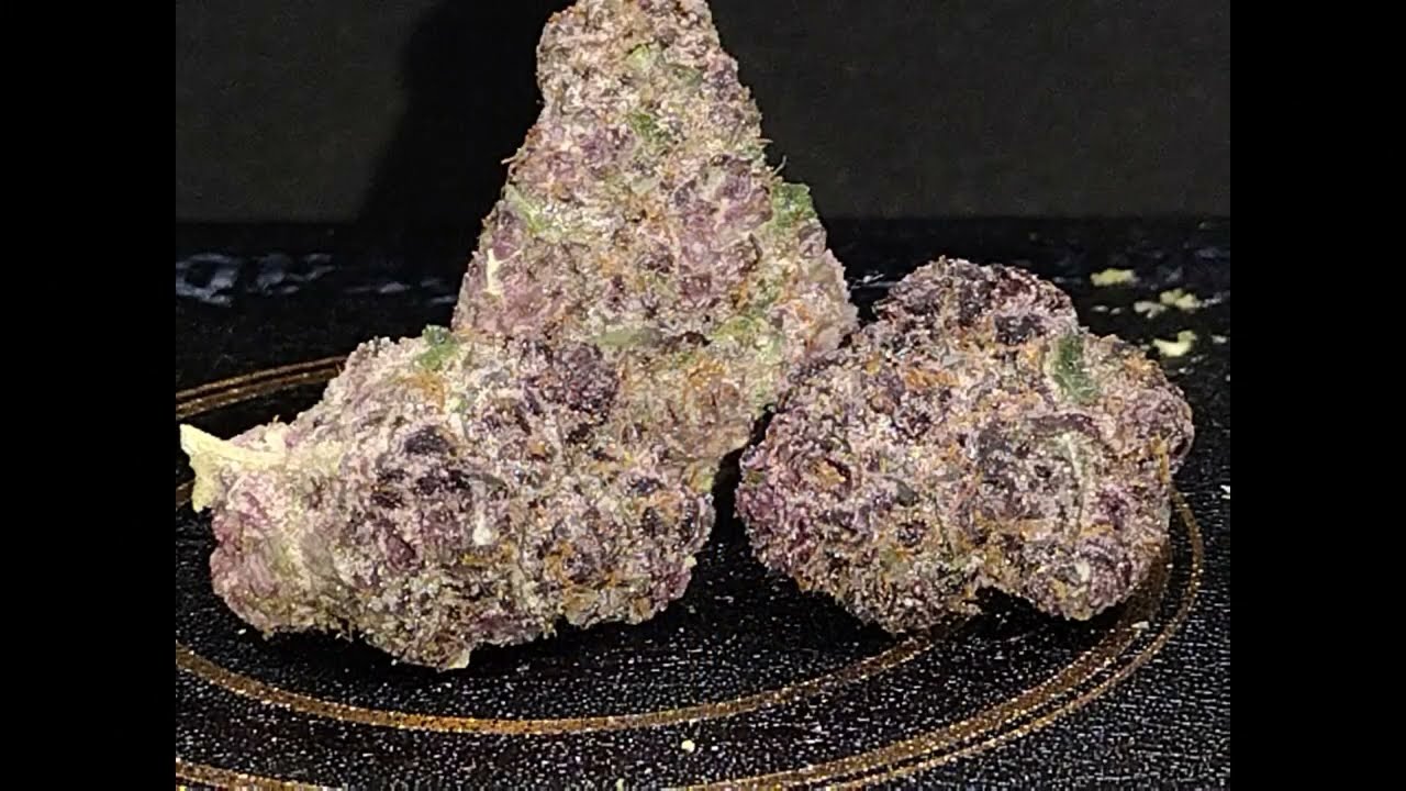 Halle Berry (SH) Strain Review Budpedia