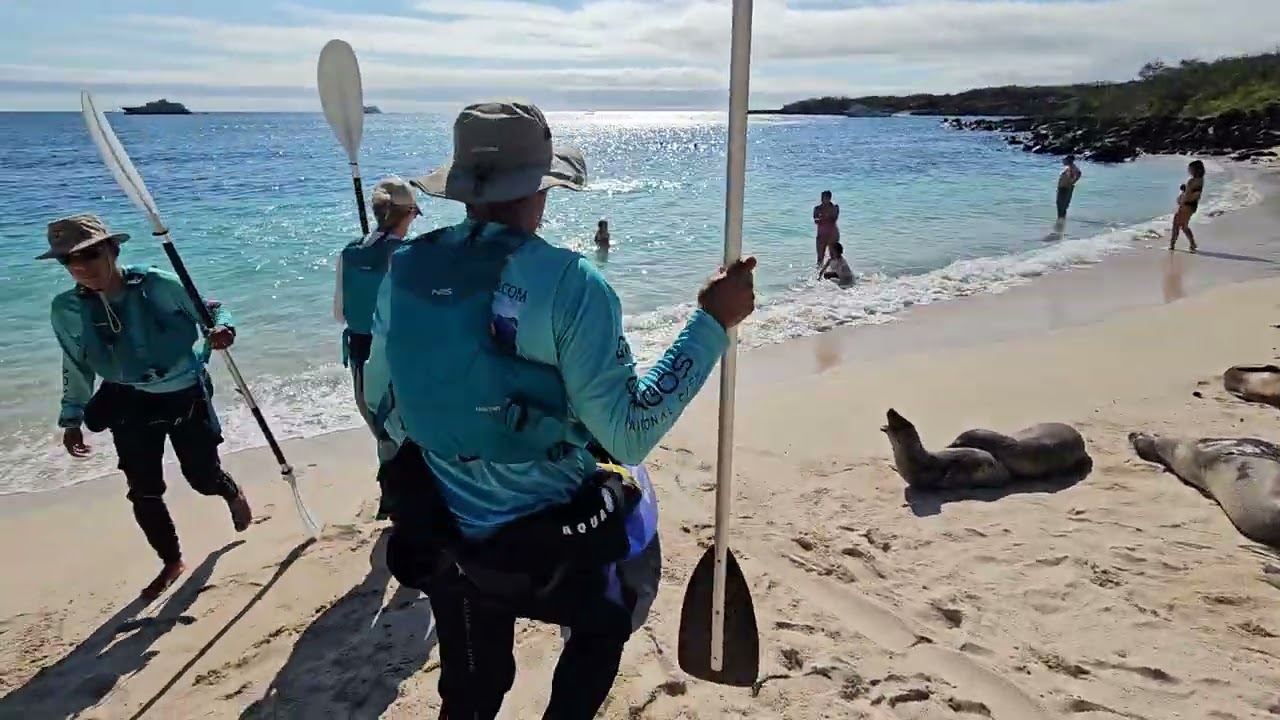 private kayak tour departing from Playa Mann