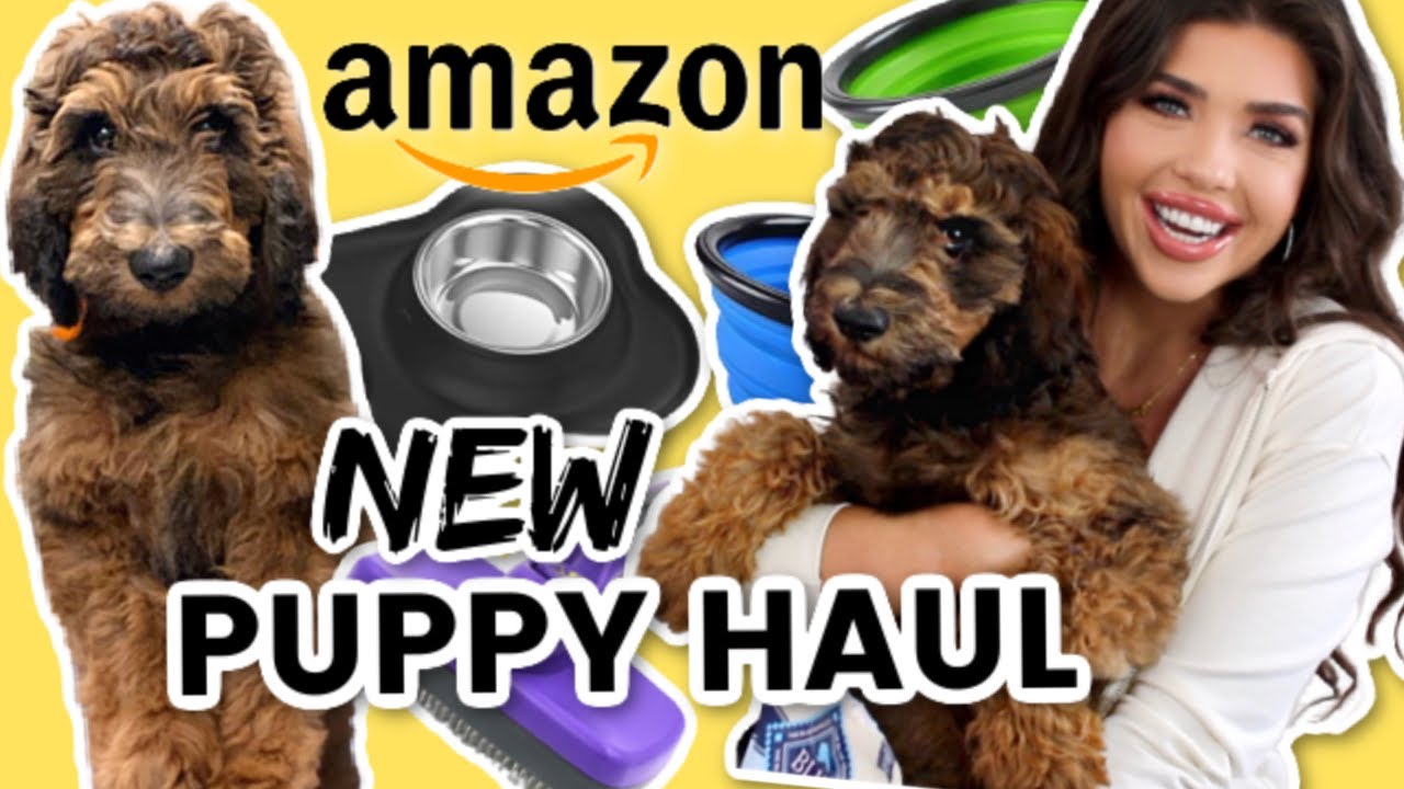 MY NEW PUPPY! New Puppy Haul *AMAZON* | PUPPY ESSENTIALS: GOLDENDOODLE PUPPY