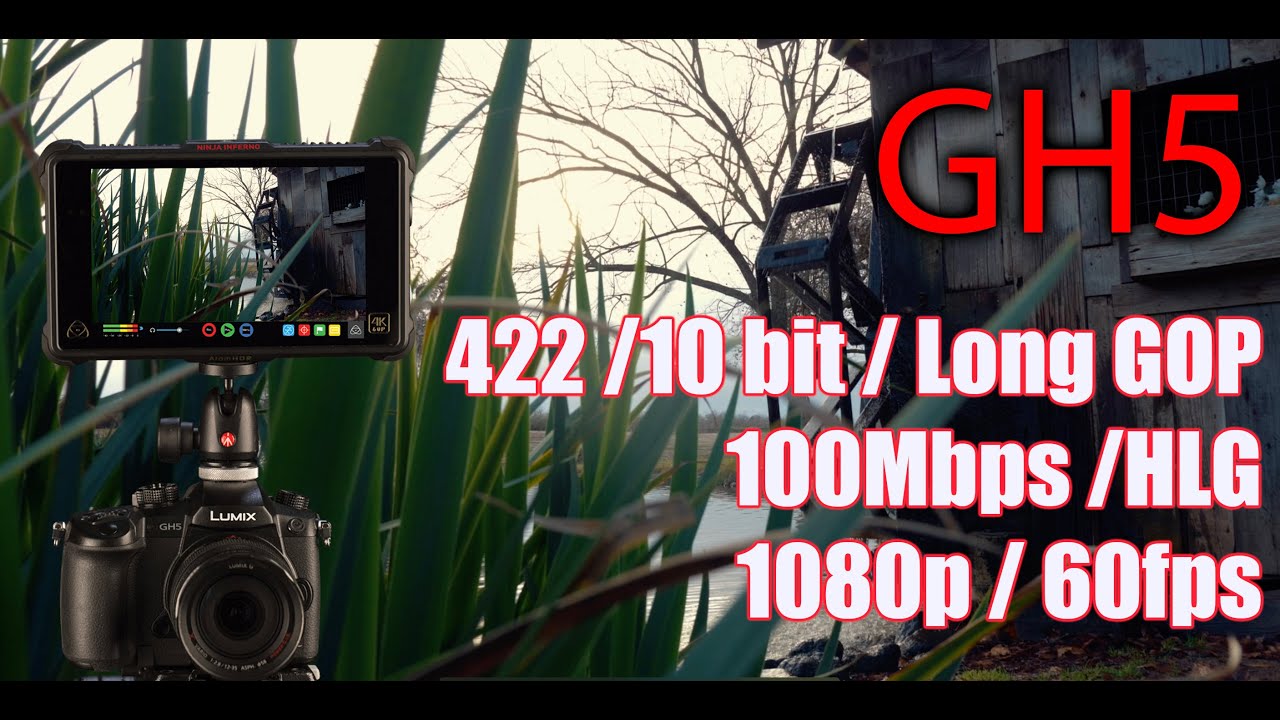 GH5 10 bit 1080p 4:2:2 HLG