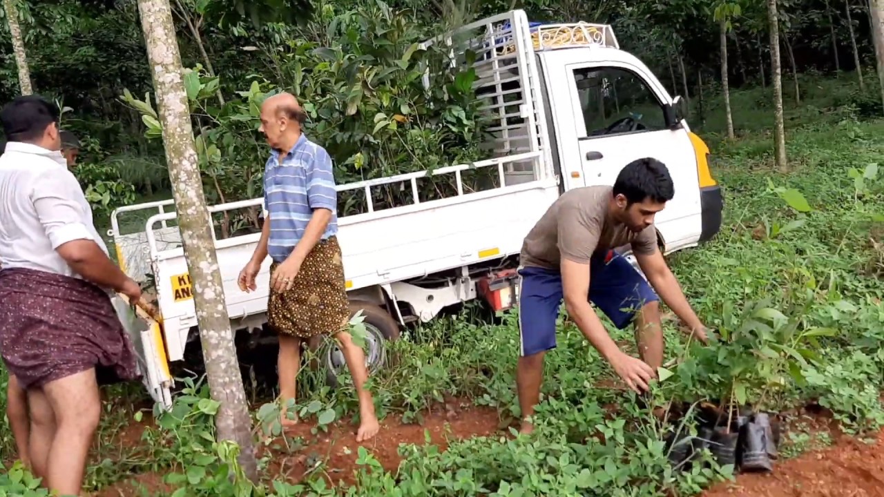 Afforestation Project by Plantaddict.