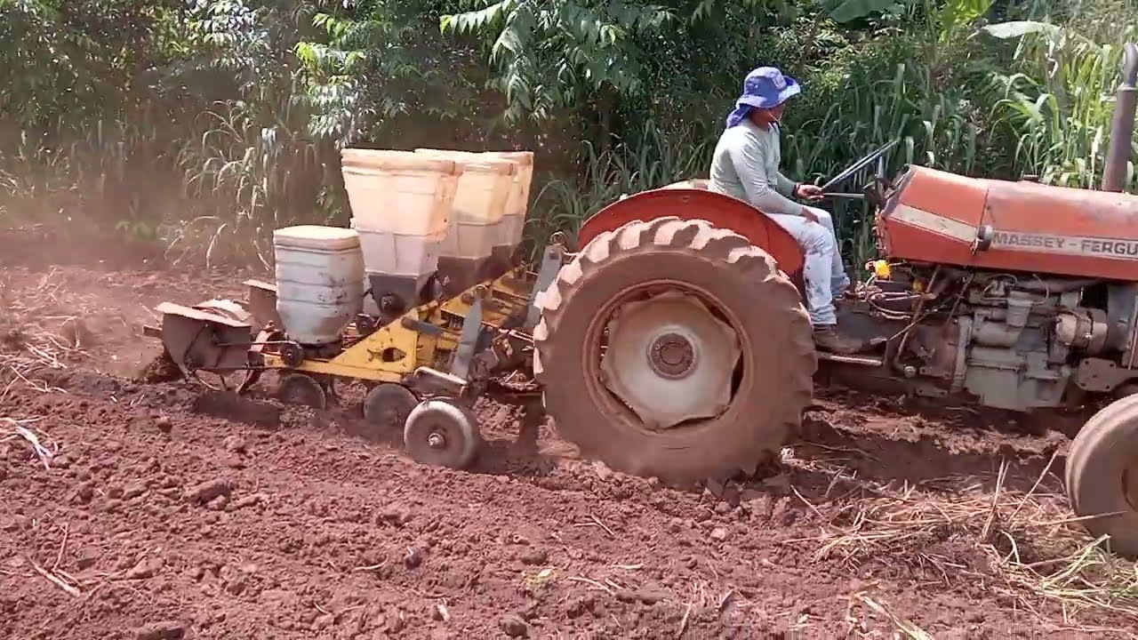 graças a Deus estamos realizando mais um plantio