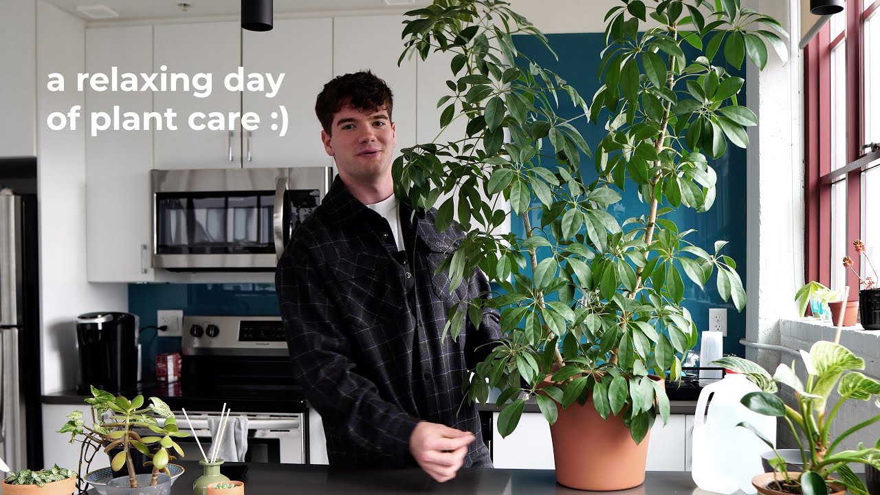 My Wholesome Strange Addiction