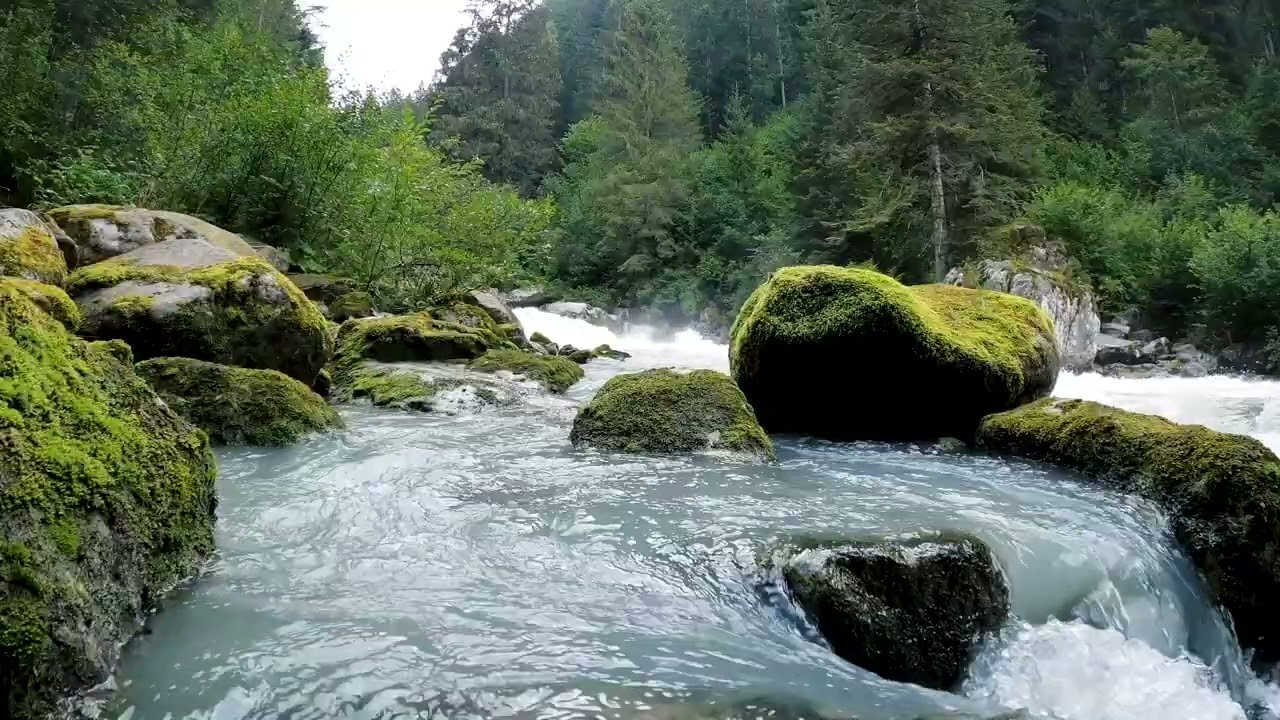Gentle River Sounds for Relaxation & Sleep | 3 Hours