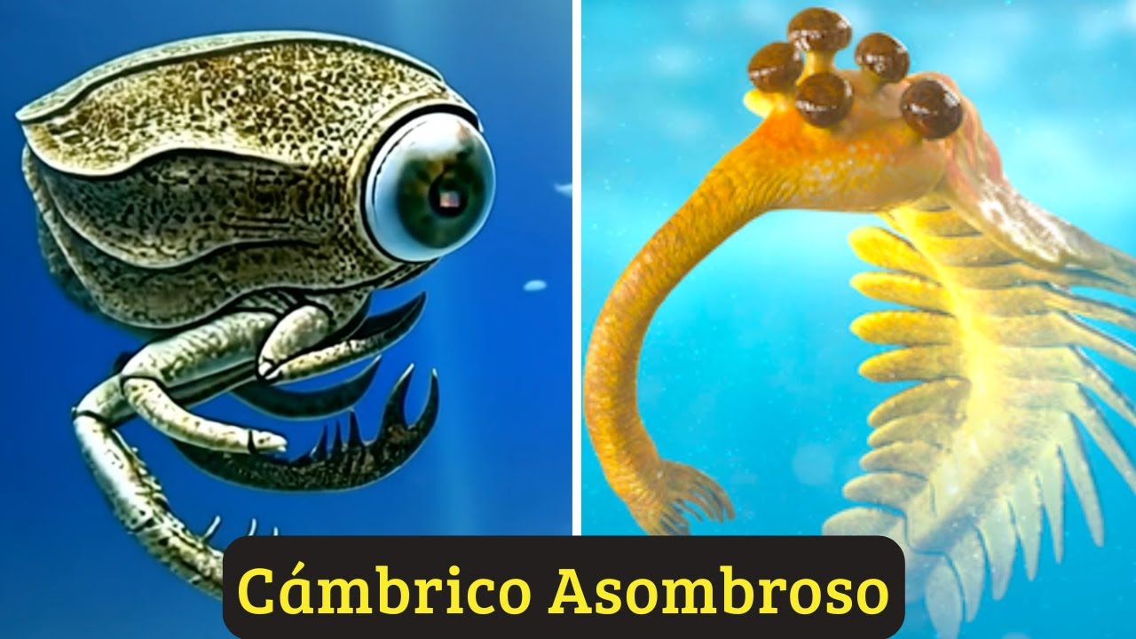 C&aacute;mbrico Asombroso: Anomalocaris, Opabinia, Thylacocephala, Hallucigenia, Wiwaxia
