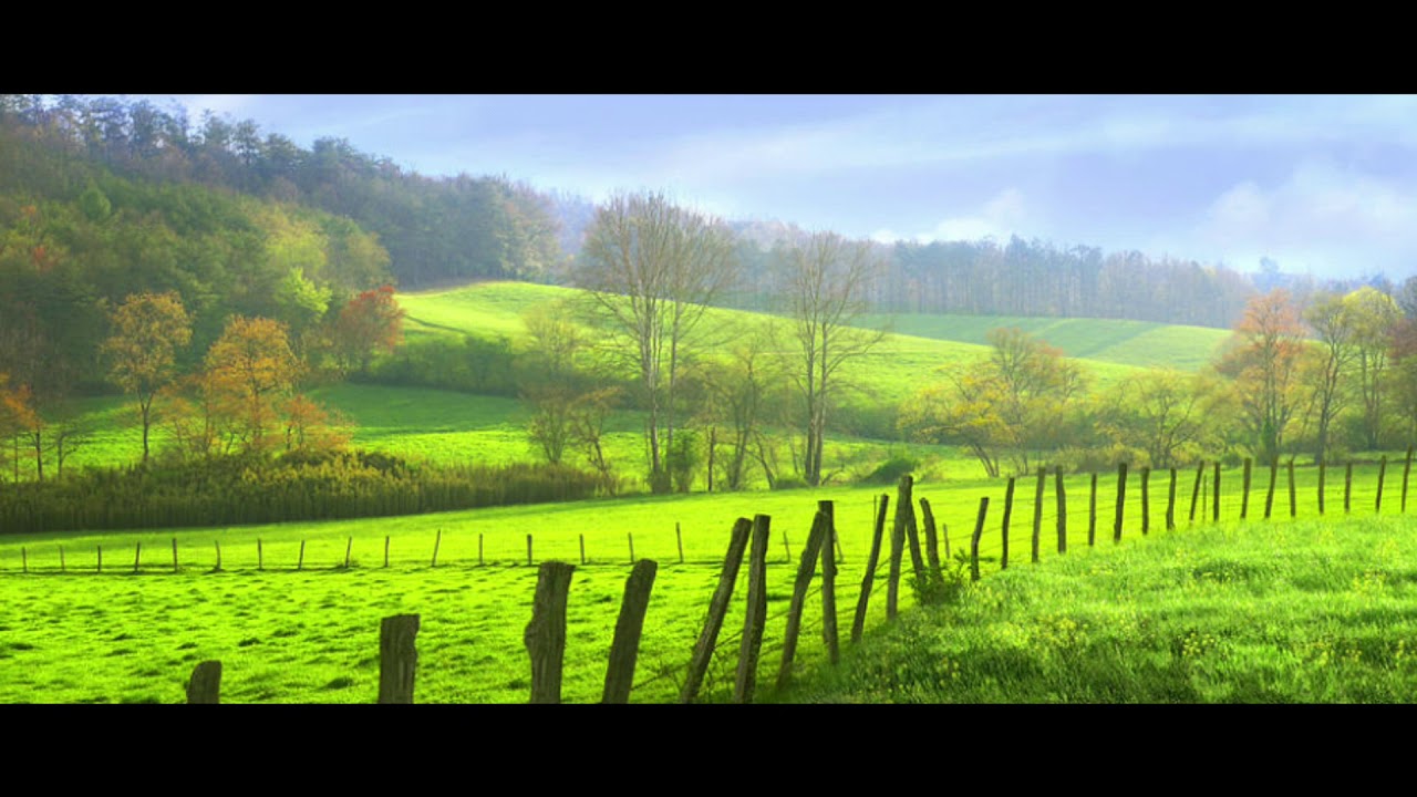 Peter Sandberg - Spring Morning