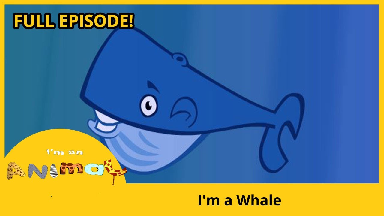 🐳 I'm a Whale | I'M AN ANIMAL