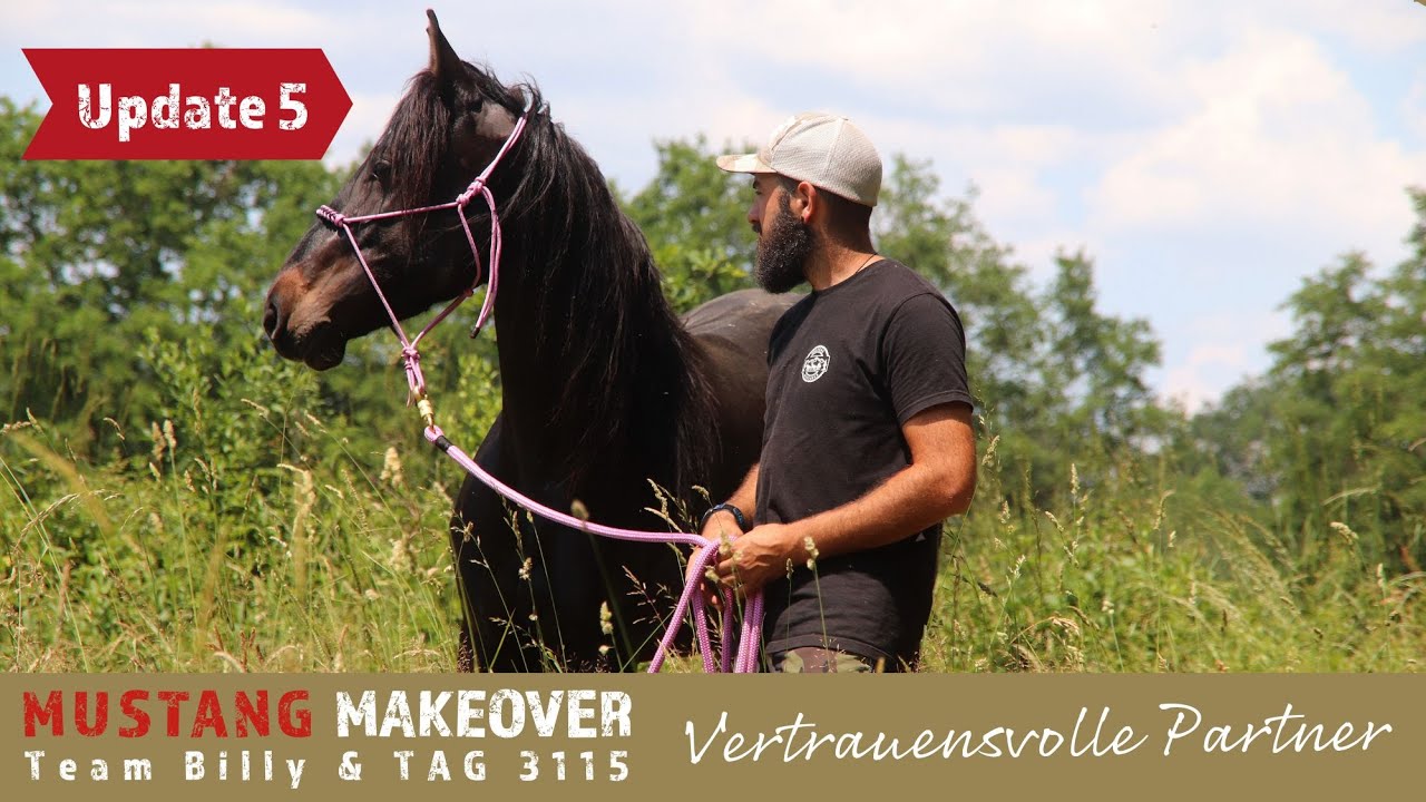 Ebony taut langsam auf🥰 - Team Billy | Mustang Makeover 2023