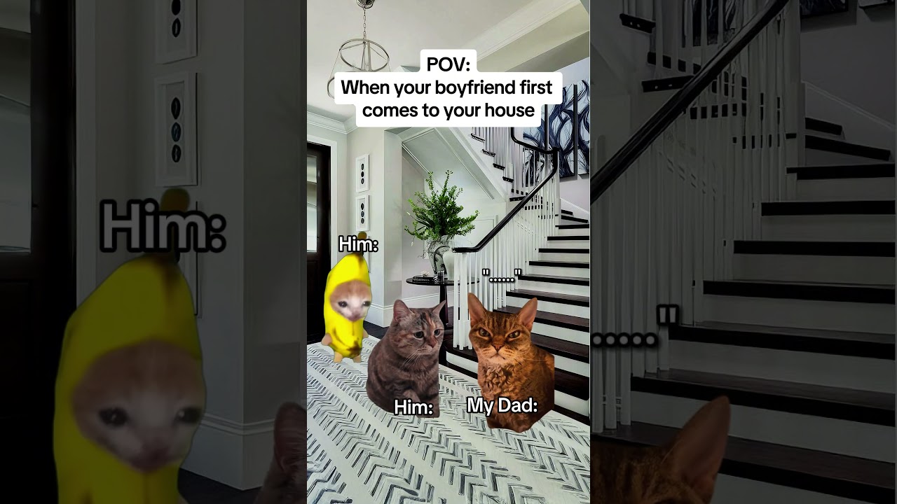 CAT MEMES 🐱When your boyfriend first comes to your house #catmemes #relatable #relationship