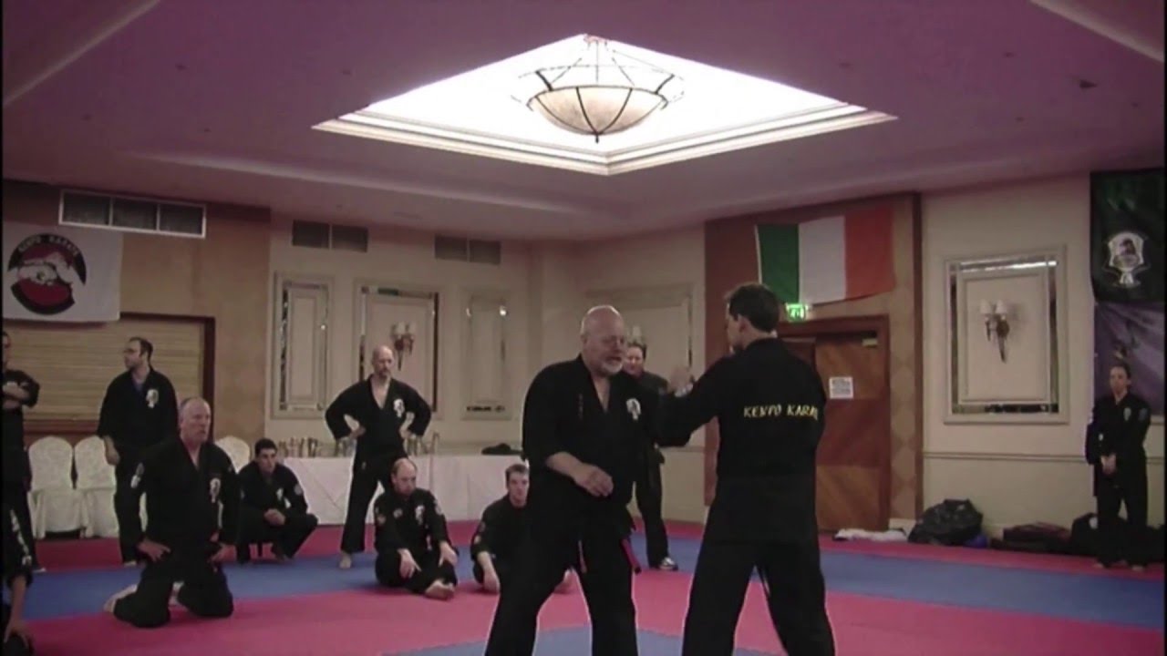 Kenpo 11   EKKA camp 2014