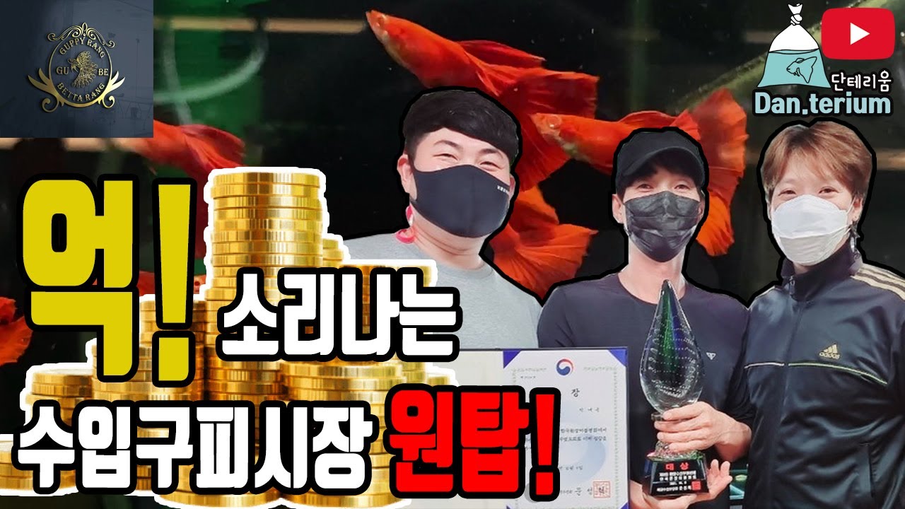 억! 소리나는 수입구피시장 원탑! 구베를 아십니까?(1부)