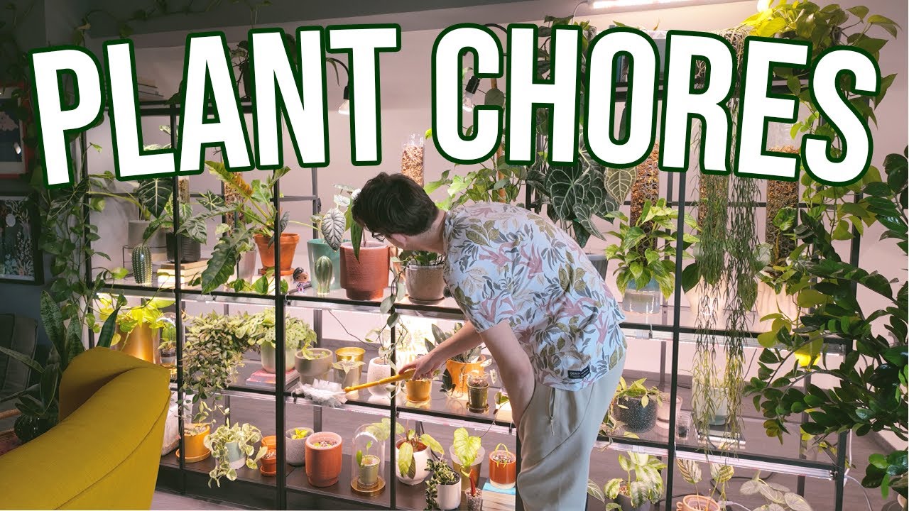 Taking care of my NEGLECTED plants 🫣 Clean + Plant Chores 🌿