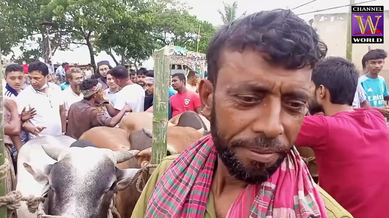 Gabtali animal market on the occasion of Eid - CHANNEL WORLD