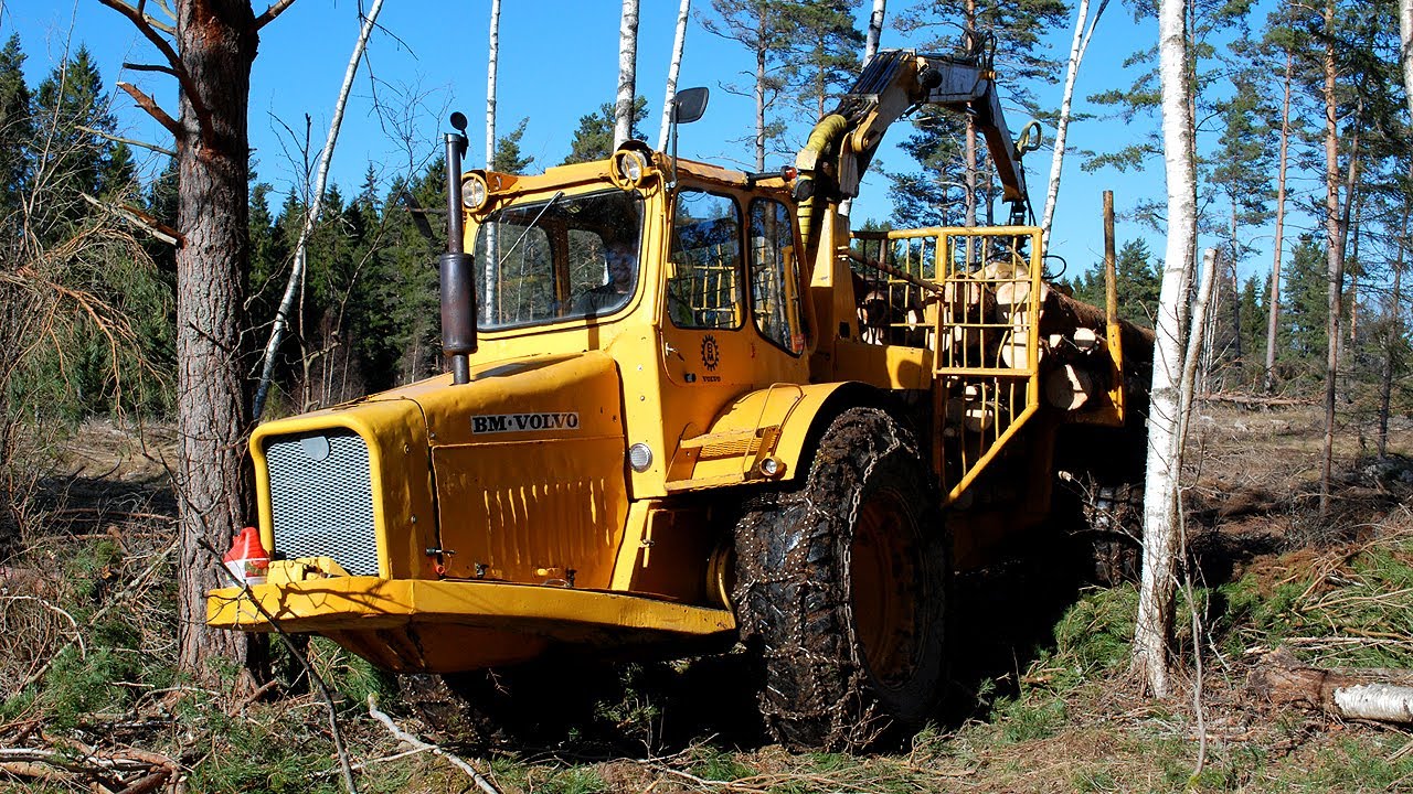 Svenska hjältar i skogen - del 1
