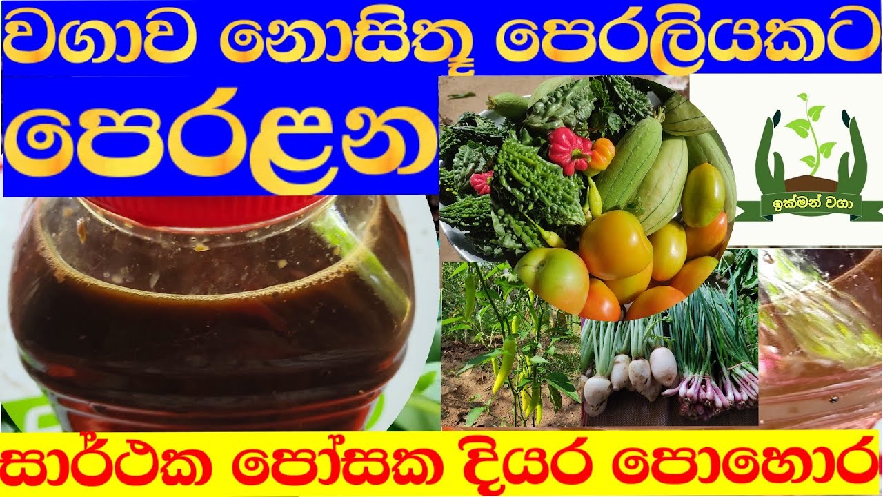 සාර්ථක කෘමි විකර්ෂක පොෂක අඩංගූ දියර පොහොරක්