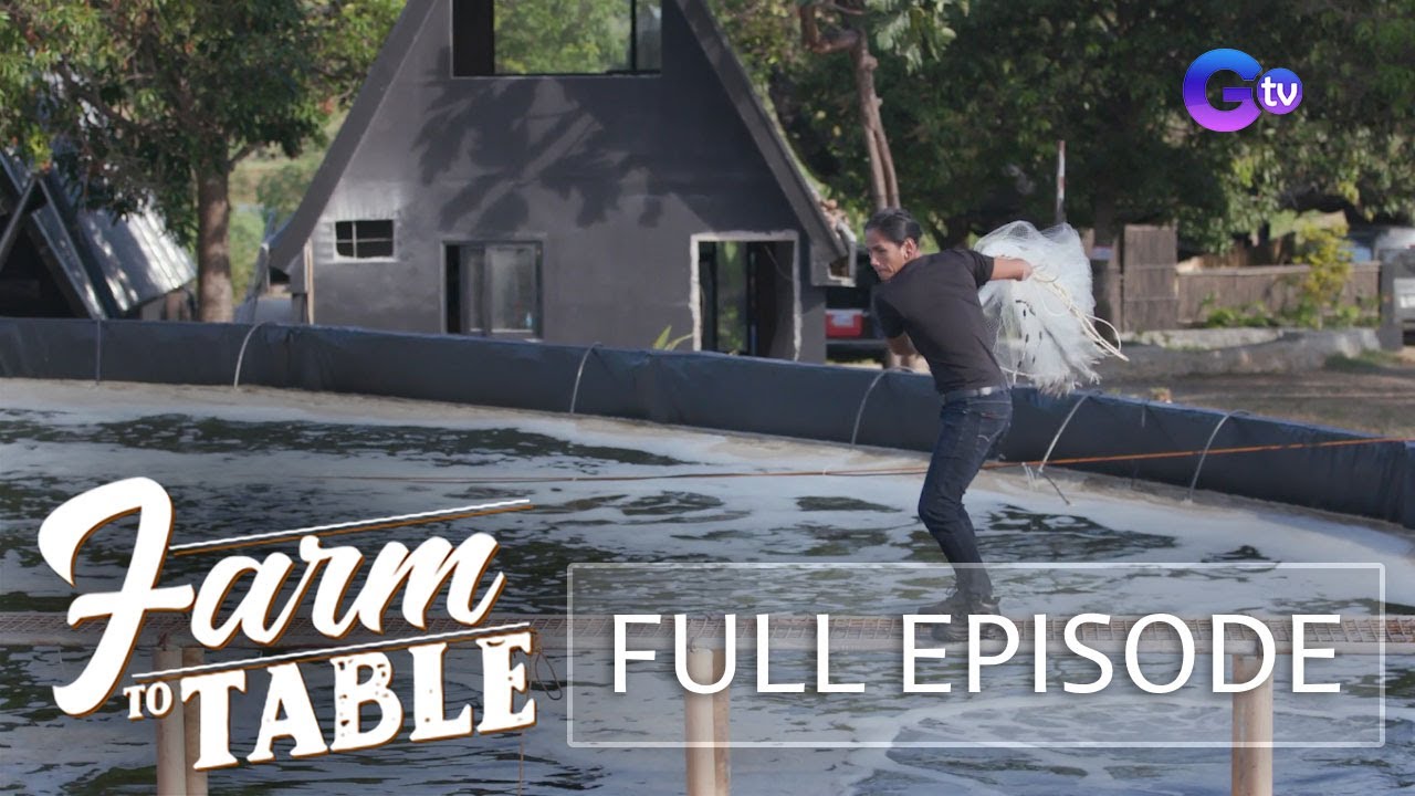 Turning fresh shrimp into Mexican dishes! (Full episode) | Farm To Table (Stream Together)