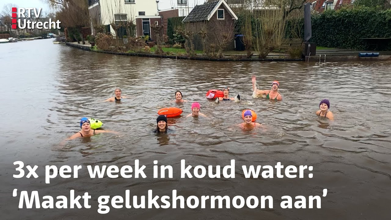 Nationale Dipdag: 'Een gevoel van: yes, ik leef!' | RTV Utrecht