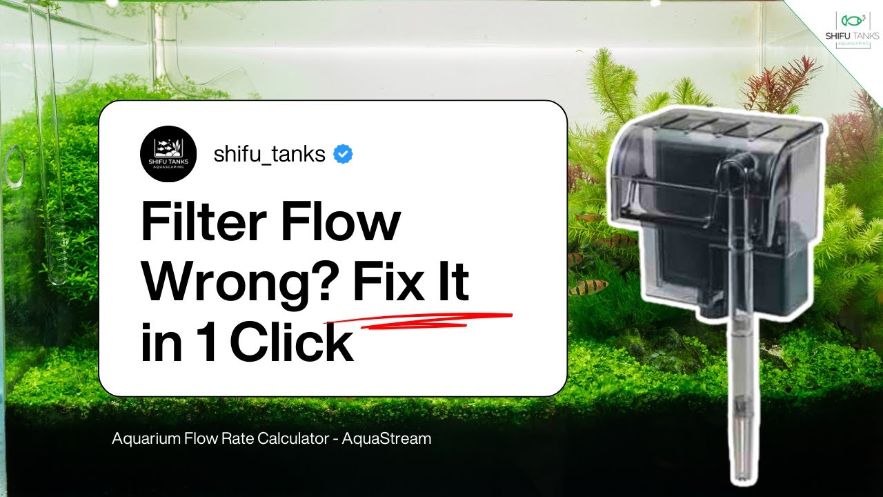 Aquarium Flow Rate Calculator | Choose the Right Filter Size Every Time