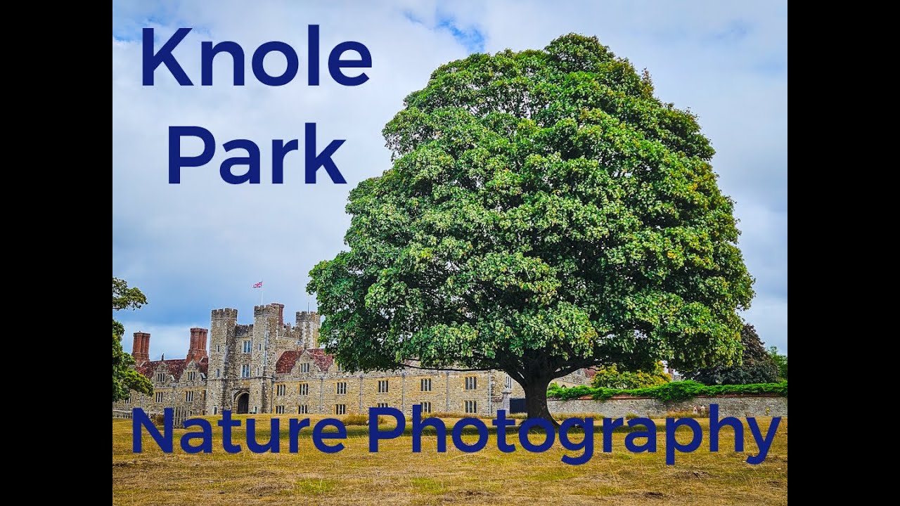 Nature Photography EP 2 : Knole Park