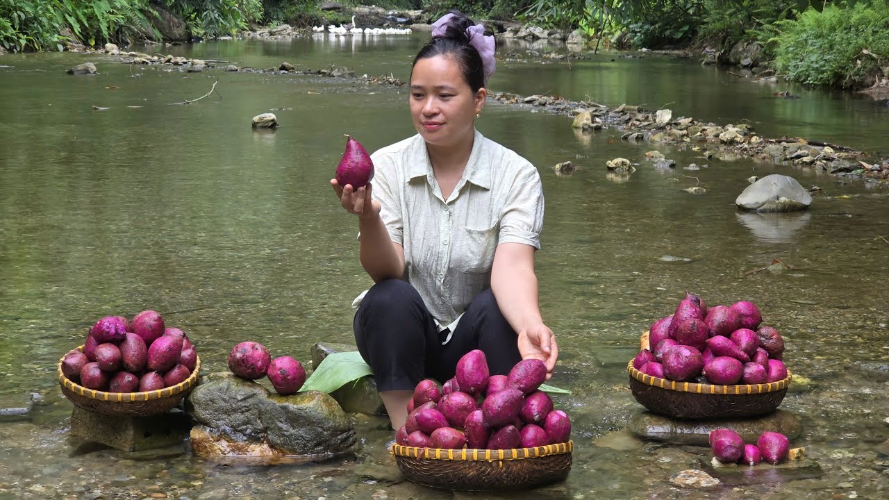 Making Delicious Purple Sweet Potato Cakes - and Bringing Them to the Village Market | L&yacute; Thị Ca