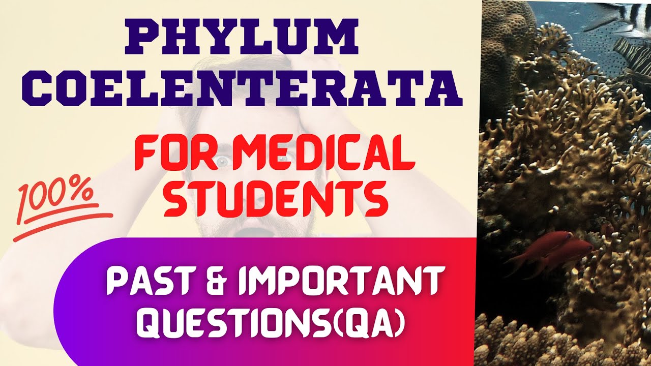 Coelenterata MCQs || Important & Past MCQ 😱😱 || Common Entrance Examination CEE IOM KU BPKIHS MOE🔥🔥