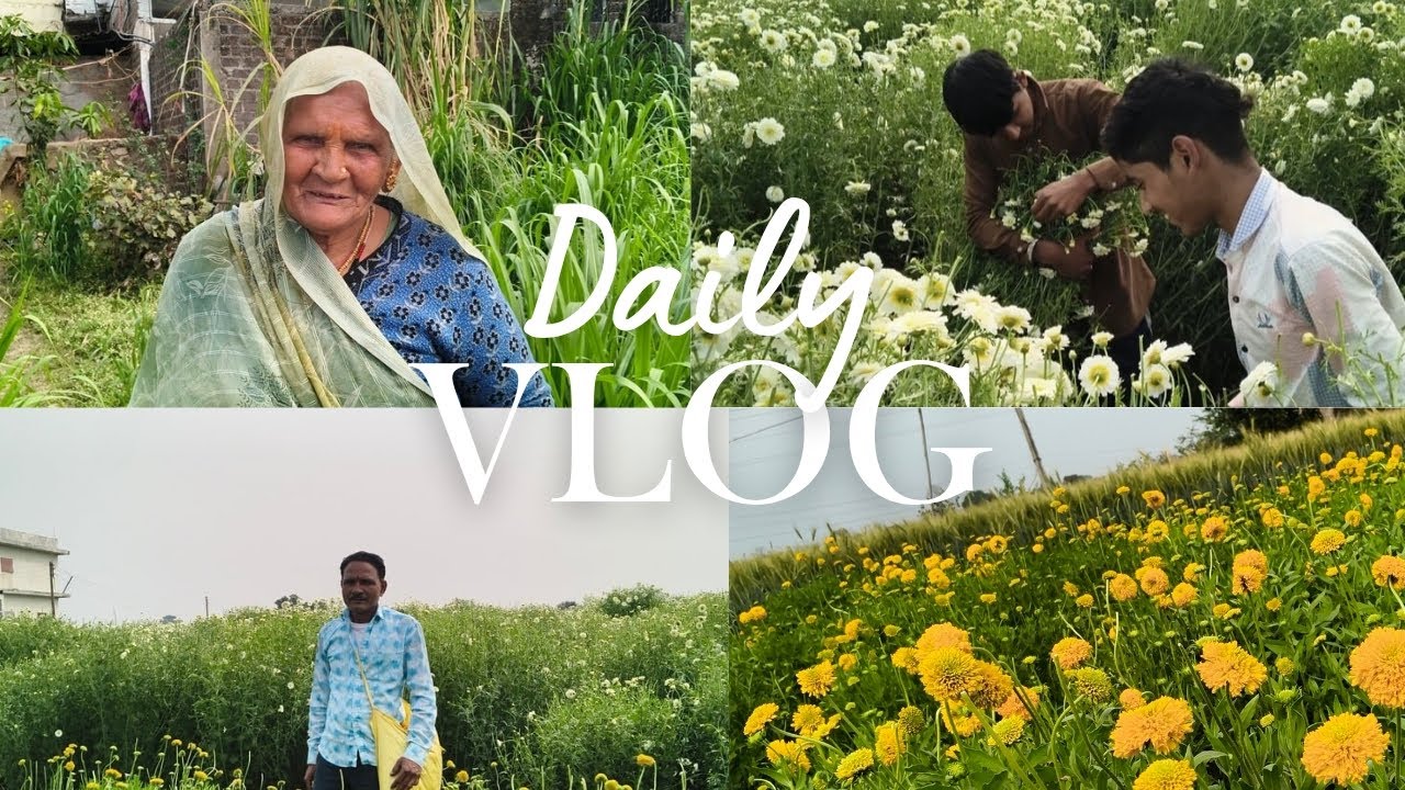 🙃Ghar ke piche phoolon ka khet|🤍🧡|full vlog 