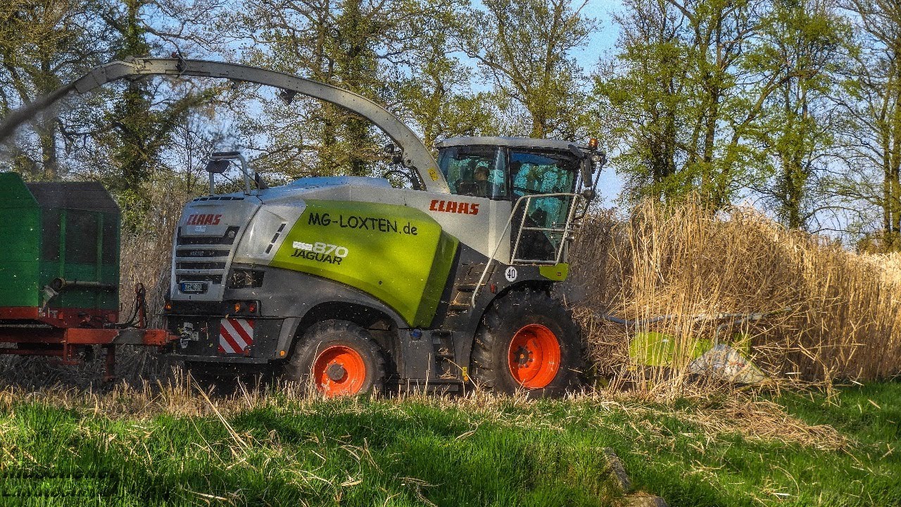 Miscanthus häckseln 2018│Müschener Landtechnik