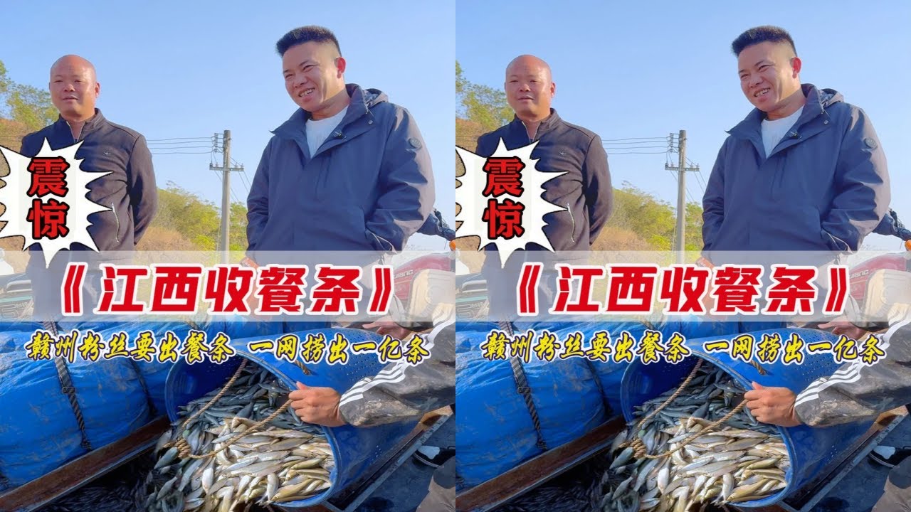 爆网了！60多亩水库即将干底，一网下去捞出一亿条鱼！
