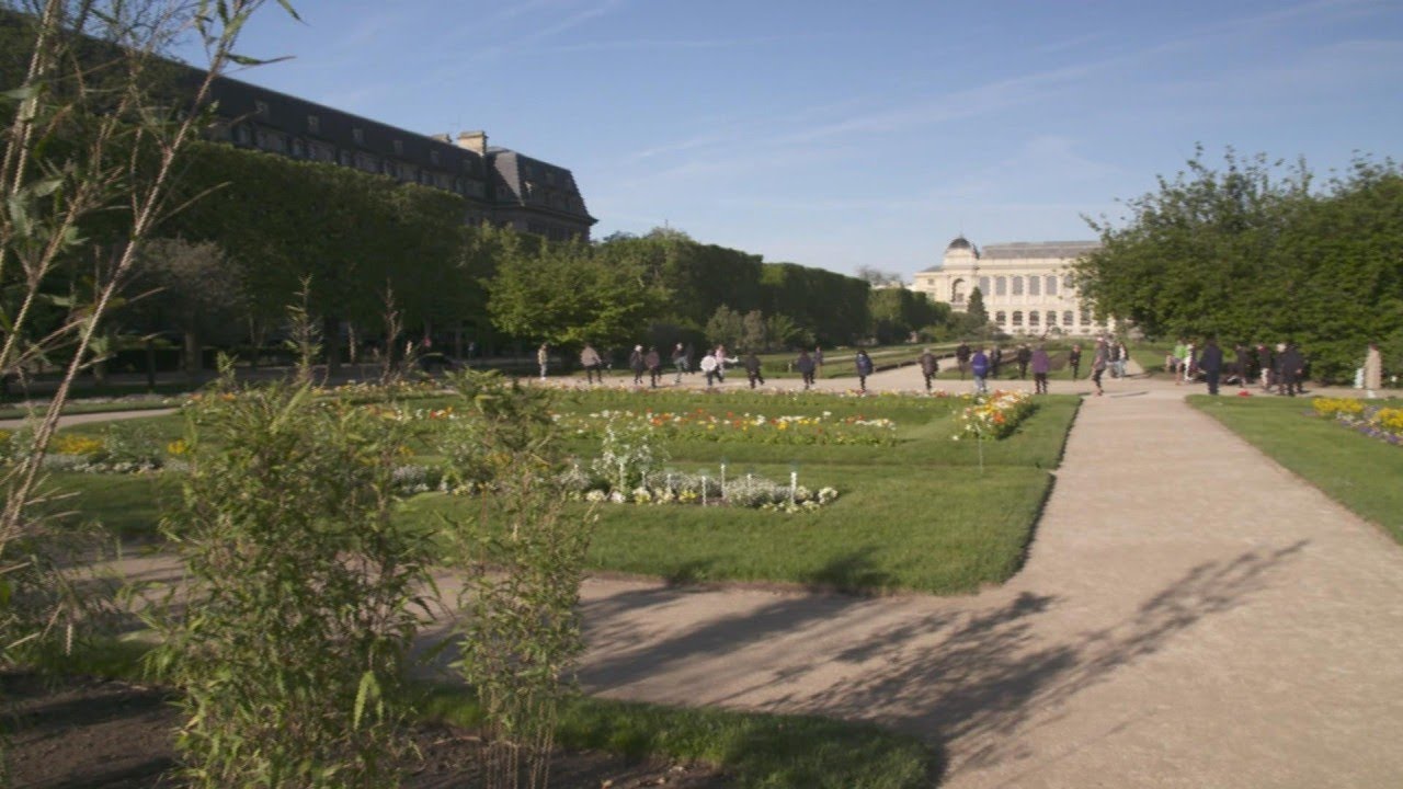 Le jardin des Plantes, une oasis au cœur de Paris - Météo à la carte